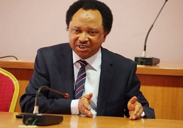 Kaduna Governorship Race: Sen. Shehu Sani Promises to Make Terrorism Impossible