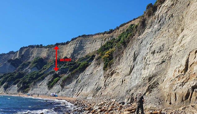 Serial Rapist Gets Himself Severely Injured While Escaping From Police