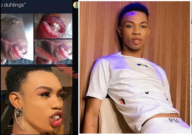 "If I Was Ur Brother, Will U Compare Me To A Fish?" - Bobrisky’s Apprentice James Brown Laments