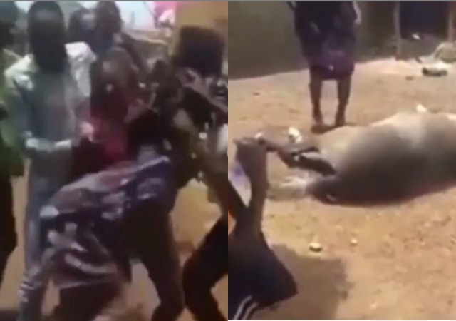 Family Celebrates As Lady Passes Her Virginity Test By Jumping Over A Horse (Video)