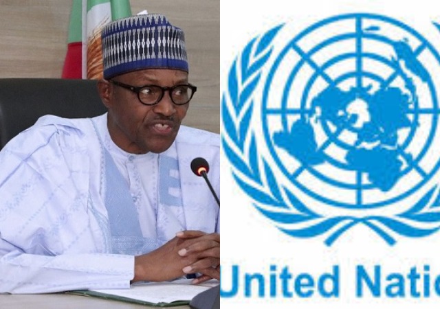 Nigeria To Coordinate The UN Poverty Eradication Group