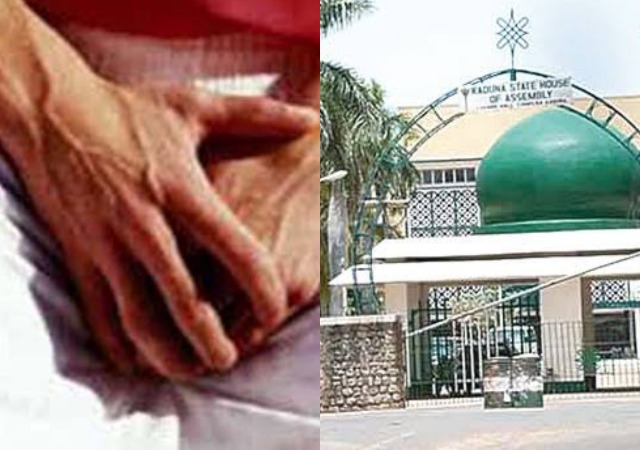 House Of Assembly In Kaduna Approves Castration As Punishment For Rapists