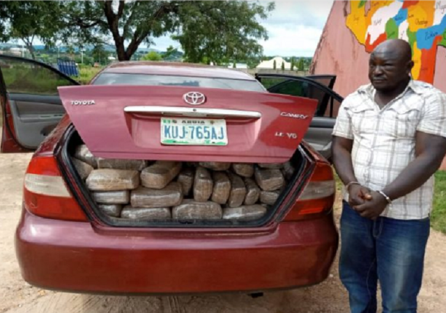 Dismissed NDLEA Official Arrested With 254kg of Weed in Niger State