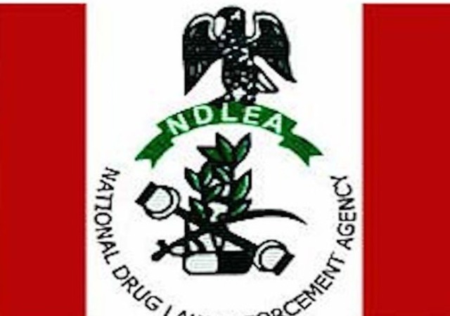 NDLEA Arrests Drug Kingpin at Lagos Airport