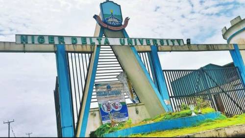 Bayelsa University Shut Down Over Students Protest