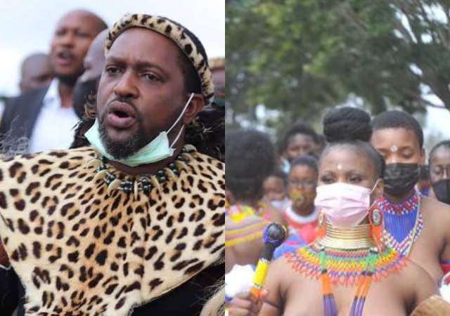 New Zulu King, Misuzulu KaZwelithini Participates In First Reed Dance with Virgin Maidens [Photos]