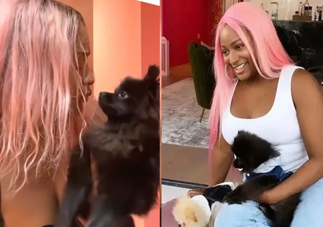 Fans Finger DJ Cuppy and Other Slay Queens for Allegedly Using Dogs as Partners – Video