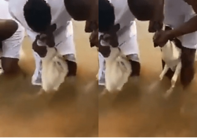 Young Men Seen Performing Money Ritual Inside At A River [VIDEO]