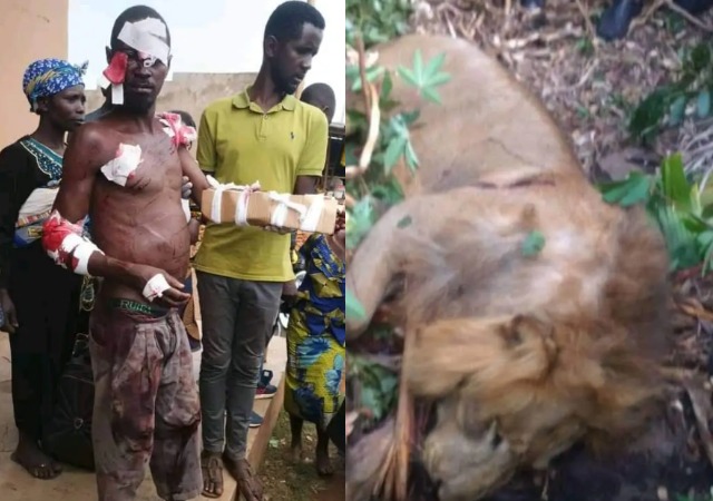 Courageous Man single-handedly kills Lion in brutal battle [photos]