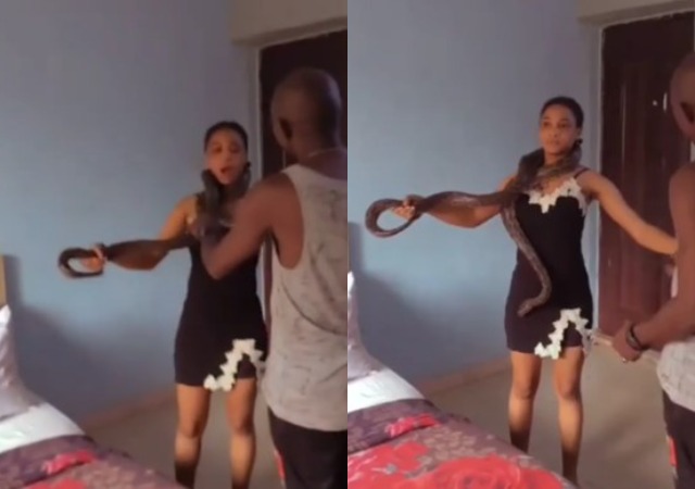 Nollywood Actress Flees As Big Snake Wraps Itself around Her Neck during Movie Shoot [Video]