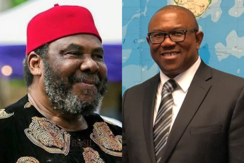 “Blessing from Father to Son” – Reactions As Pete Edochie Endorses Peter Obi