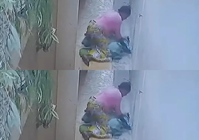 Housemaid pictured attempting to suffocate colleague four days after employment [Video]