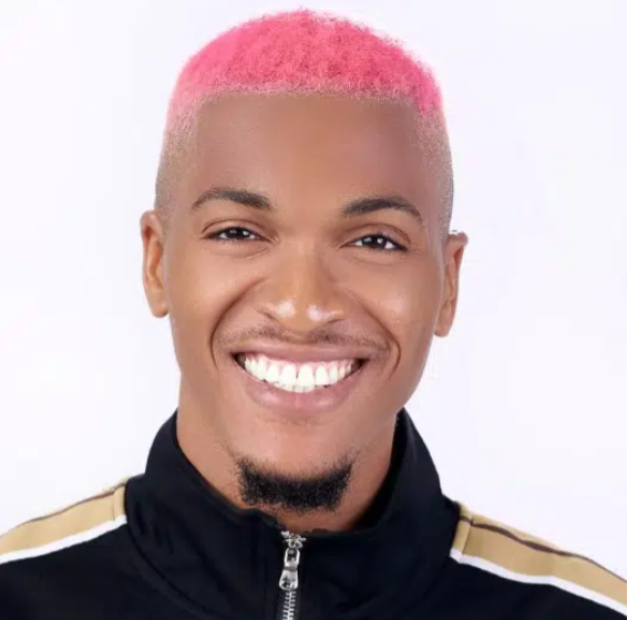 #BBNaija Level Up: Meet All Big Brother Naija Season 7 Housemates [NAMES, photos]