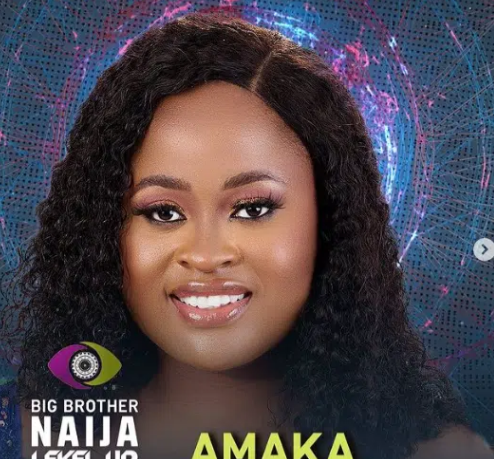 #BBNaija Level Up: Meet All Big Brother Naija Season 7 Housemates [NAMES, photos]