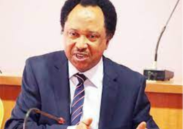 Why It Is ‘Technically Impossible’ To Impeach Buhari – Shehu Sani
