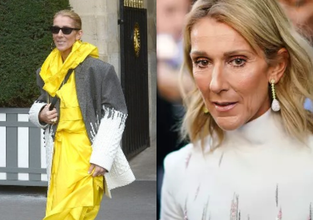 We can’t find any medicine that works – Celine Dion’s sister gives health update
