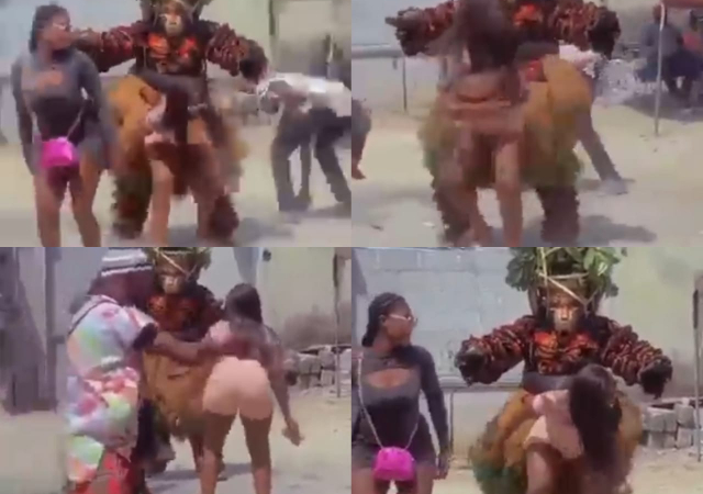 Masquerade 'loses guard', forgets his traditional duties as female fan twerks for him [Video]