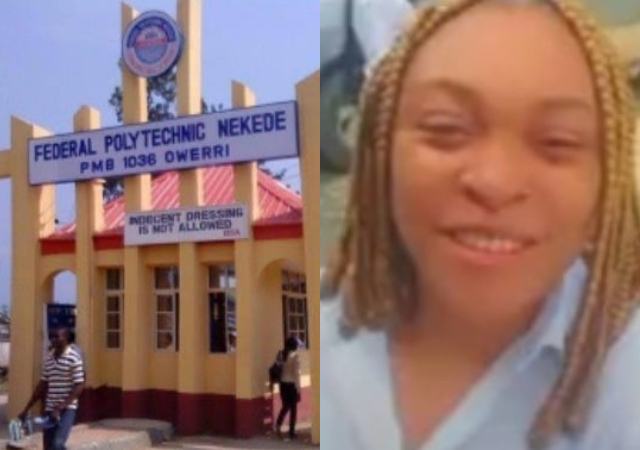 Nekede poly reacts to viral video of lady claiming her ‘veejay’ made her graduate