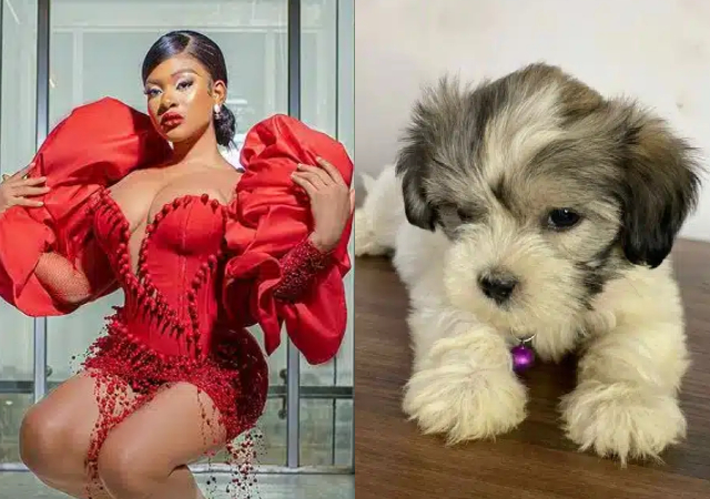 She hailed and thanked her Fan base, known as Phyna Nation, for the beautiful gift they sent her.