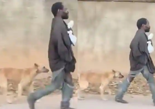 "For better for worse"- Dog refuses to abandon owner who is mad, stays with him