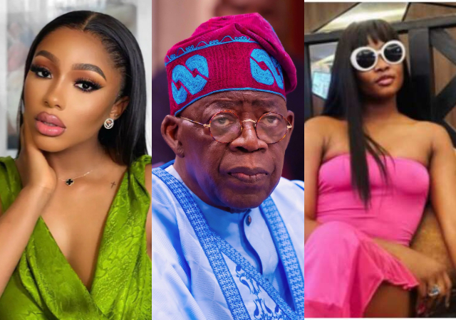 BBNaija All Stars: “Like Bola Tinubu, Mercy Eke will win” – Lady asserts