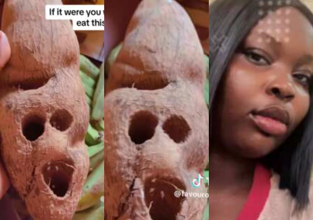 "I'm scared to eat it"- Nigerian lady shows off odd-looking yam sent to her in school