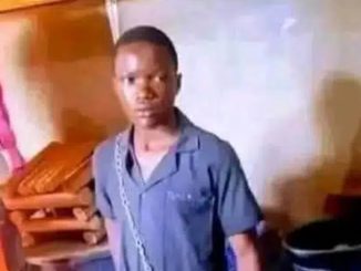 Gynaecologists Express Concern Over 18-Year-Old Boy Who Impregnated 10 Girls in 5 Months