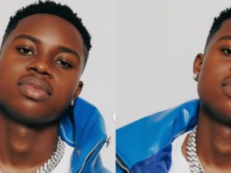 Peller Laments Decline of Skit Comedy, Says Creators Are Going Hungry