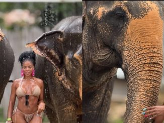 Venita Akpofure Turns Heads with Bikini Photos from Thailand Vacation