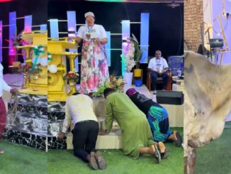 Man Offers Cow in Church as Thanksgiving Offering