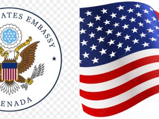 US Embassy Slashes Visa Validity for Nigerians From 5 Years to 3 Months