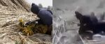 “I Couldn’t Continue Watching”- Outrage as Graphic Video Allegedly ...